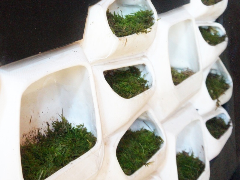 Sistema modular de muros verdes genera electricidad a partir del musgo