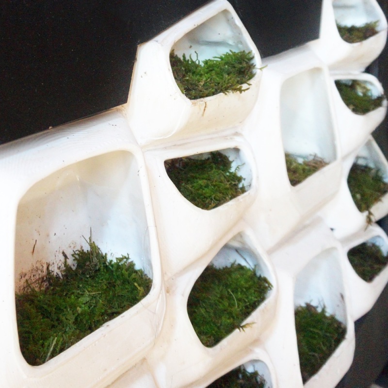 Sistema modular de muros verdes genera electricidad a partir del musgo